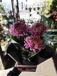 Maybe you would like to learn more about one of these? Florists Open On Sunday Near Me Saying It With Flowers