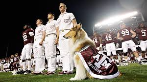 A shipping container probably has more relevance as a. Butler S Blue Ii May Have Become A Celebrity But Texas A M S Mascot Reveille Has Been A Star For Years Page 2 Espn