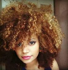 Natural hair refers to african american hair that hasn't been straightened or relaxed. 13 Dark And Lovely Honey Blonde On Natural Hair New Natural Hairstyles