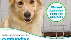 Search for dogs for adoption at shelters near phoenix, az. Free Pet Adoptions From Arizona Humane Society July 7 11