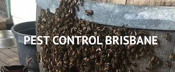 We know that the safety of your home is important to you, so we protect it by removing pests from your residential or commercial property. Pest Control Brisbane 1300 044 219 Brisbane Local Pest Control