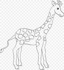 Animal Giraffe Coloring Book Ausmalbild Zoo Png 2306x2525px Animal Animal Figure Ausmalbild Black And White Coloring