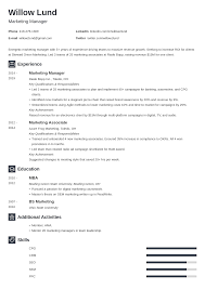 Junior assistant brand manager, face care (feb. Marketing Manager Resume Examples And 25 Writing Tips