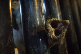 (mara) stock quote, history, news and other vital information to help you with your stock trading and investing. Mara The Elephant To Leave Argentina For Brazil Sanctuary