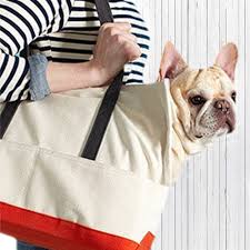 What should i look for in a dog carrier? Canvas Dog Tote Natural Orange Designer Dog Carriersdesigner Dog Carriers
