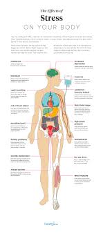 The Effects Of Stress On Your Body