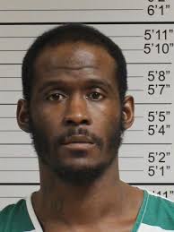 Puppy abuse leads police to drugs, gun