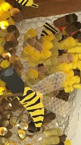 Pin By Juli Paddie On B8 Steam Bees Bee Teaching