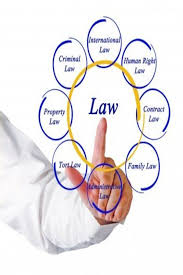 Crash Course Clat Possible Human Rights Law Career Options Attorneys