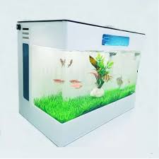 27 meja akuarium/aquarium unik dan cantik ini siap memanjakan mata anda. Jual Aquarium Mini Aquarium Akrilik Aquarium Cupang Aquarium Acrylic Terbaru Juli 2021 Blibli