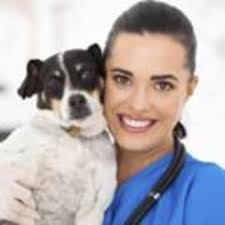 Start a free workable trial and post your ad on the most popular job boards today. What Does A Veterinary Assistant Do Careerexplorer