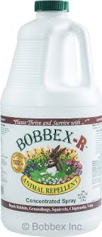 Amazon.Com: Bobbex Concentrated Animal Repellent Rabbit, Squirrel, And  Chipmunk Repeller Concentrate (32 Oz.) B550120 : Patio, Lawn & Garden