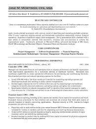 healthcare controller resume sample