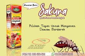 Pin Di Ampuh 0812 1981 4218 Obat Dbd Agar Trombosit Naik