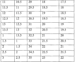 Mexican Shoe Size Conversion Chart Child Antmonitor Me