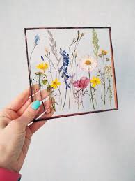 Shop more from emery and opal Gepresste Blumenkunst Gepresste Blumen Im Glas Echte Etsy Gepresste Blumen Blumen Pressen Blumen Kunst