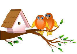 Bird On Tree Branch Birds Cartoon Two Birds On A Tree Branch Sponsored Cartoon Birds Birds Branch Tree Ad Birds Tree Branches Bird Cage