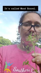 #foodreel #foodreels😋 #tastey #medicinal #reels #pennyjopausch  #pjcreatesart #lifeofateacher #popcornartist #foods #edibleweeds #sour  #knowwhatyougot #herblovers #homesteadlife #homesteadfood ...