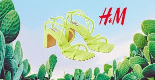Now researchers propose a cactus common around the world could be used to provide a cheap and easy solution. Cactus Leather Features In H M S New Sustainable Collection