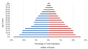 Japan S Age Wave Challenges And Solutions Vox Cepr Policy Portal