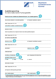 Unsere dienstleistungen im bereich zahnimplantate. Musterausbildungsvertrag Bayerische Landeszahnarztekammer