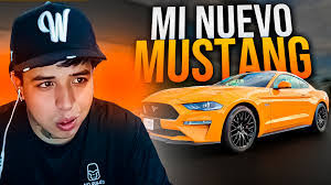 Steven Manco's Instagram, Twitter & Facebook