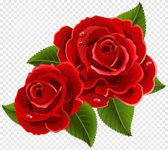 Use this guide to learn flower meanings and select the right symbol of love if flowers aren't your love's style, lavender is the plant that symbolizes. Two Red Roses Illustration Rose Heart Valentine S Day Red Roses Beautiful Love Flower Arranging Png Pngegg