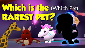 Click on the answer you think is correct so yea its makeing me type 150 charaacters for both of these boxes sadly but yea message me on insta @anon_bailey_shxdowgxmergirl and a screenshot on what u got ull get a prize btw. Which Is The Rarest Adopt Me Pet The Answer Might Surprise You Youtube