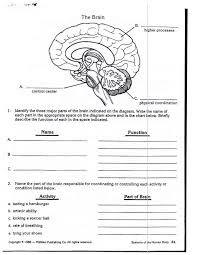 8 3rd Grade Life Science Worksheets Science Worksheets Human Body Worksheets Biology Worksheet