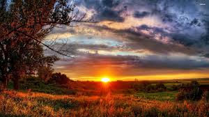 All the pictures and information are free to download. Sunset Nature Wallpapers Group 83