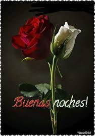 Frases Para Dar Las Buenas Noches Http Videoswatsapp Com Foto Frases Para Dar Las Buenas Noches 728 Noches Dormir Video Emoji Love Happy Day Good Night