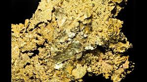 Check spelling or type a new query. Family Walking Lucky The Dog On Mother S Day Finds 25k Gold Nugget Fox43 Com