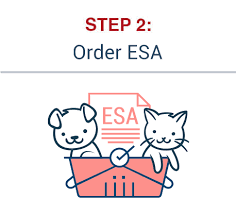 How to get an esa letter for my cat. Support Pets Emotional Support Animal Specialists Official Esa Products And Services Licensed Doctors In Every State Take The Esa Quiz To Qualify Today