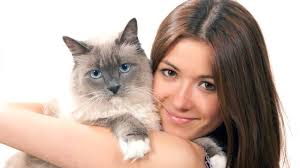 10 Best Pieces of Advice People Wish They Knew Before Adopting a Second Cat 