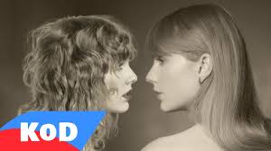 This is Why We Can't Have Nice Things aIMee