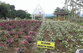 Tak lama kemudian kami tiba di pos retribusi masuk kawasan wisata gunung kelud. Harga Tiket Masuk Dan Lokasi Taman Agro Margomulyo Spot Wisata Ngehits Di Kediri Daka Tour