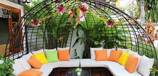 Choose large and deep pots, avoid thin and poor quality plastic pots because they heat up quickly and drain poorly. Terrace Gardening For Beginners The Step By Step Guide