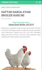Update harga ayam broiler 31/08/2020 👉sumatera aceh 11.000 / medan. Do Ayam Broiler Hari Ini Blog Spots