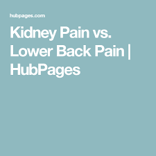 Pin On Kidney Or Lower Back Pain Symptoms