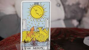 A wolf and a domesticated dog howl at the moon while crayfish emerges from the water. How To Read The Moon Card Tarot Cards Youtube