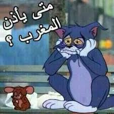 Pin By Mena Nas On Funny Funny Arabic Quotes Ramadan Greetings Arabic Funny