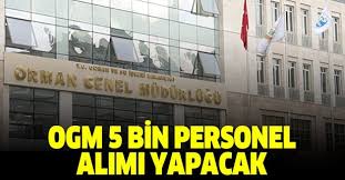 Tarım ve orman bakanlığına 826 kadrolu tarım işçisi alımı yapılacağı belirtildi. Ogm Personel Alimi Basvurulari Ne Zaman Tarim Ve Orman Bakanligi Personel Basvuru Sartlari Nelerdir Takvim