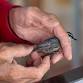 Bird Banding at EKW State Park with Audubon Rockies