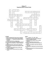 Respiratory System Crossword Puzzle Respiratory System Crossword Puzzle Biology Class