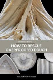 It S Easy To Lose Track Of Time And Forget About Your Dough In The Proofing Stage Especially If You Re Multitasking Or Modernist Bread Dough Modernist Cuisine