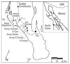 Baja california sur, officially the free and sovereign state of baja california sur (spanish: Location Of The Las Pocitas Core Baja California Sur Mexico Figura Download Scientific Diagram