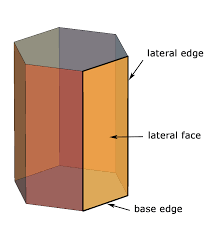 Lateral Face