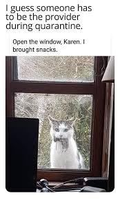 Pin On Funny