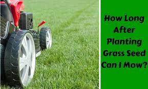 You want to water your lawn pretty good and get the broadleaf spread while the yard is still wet. How Long After Planting Grass Seed Can I Mow