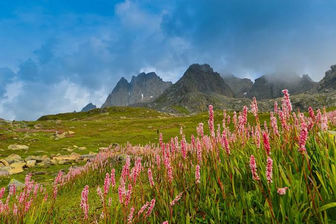 Nanda Devi & Valley of Flowers (Uttarakhand) Image 2